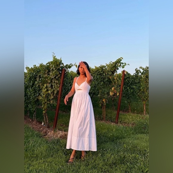 NWOT! Banana Republic White Isa Cotton Dress - Size 0 (BROKEN ZIPPER) - Picture 6 of 7